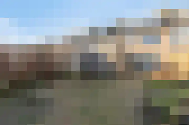 Lijsterbeslaan 17 Duiven thumbnail 4