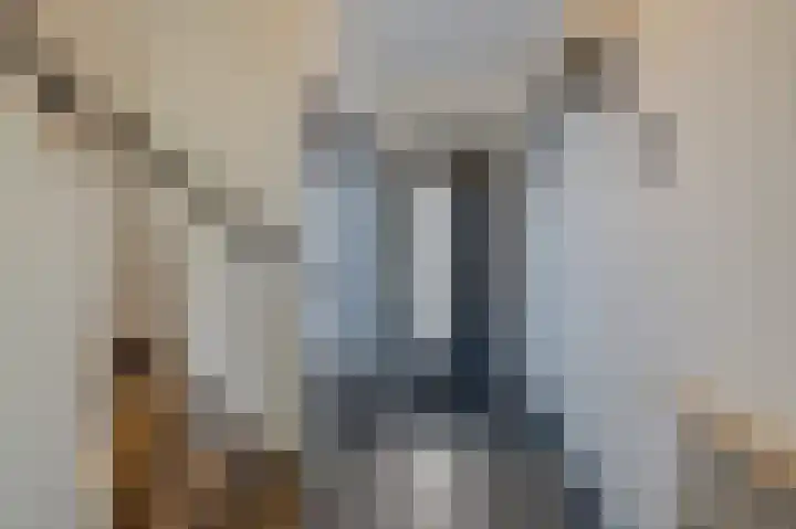 Lijsterbeslaan 17 Duiven thumbnail 7