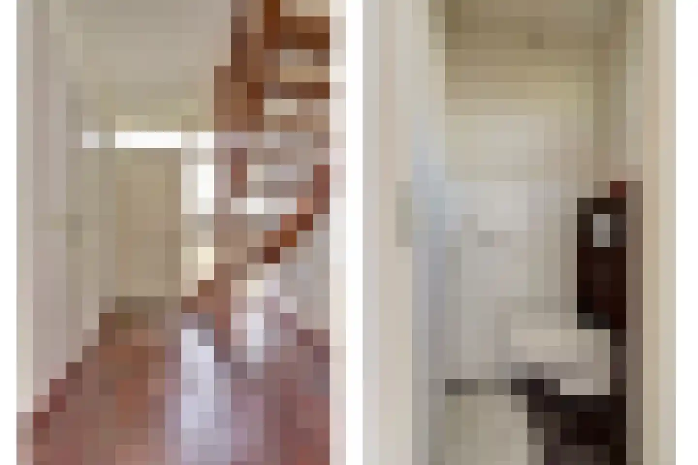 Lijsterbeslaan 17 Emmer-Compascuum thumbnail 17