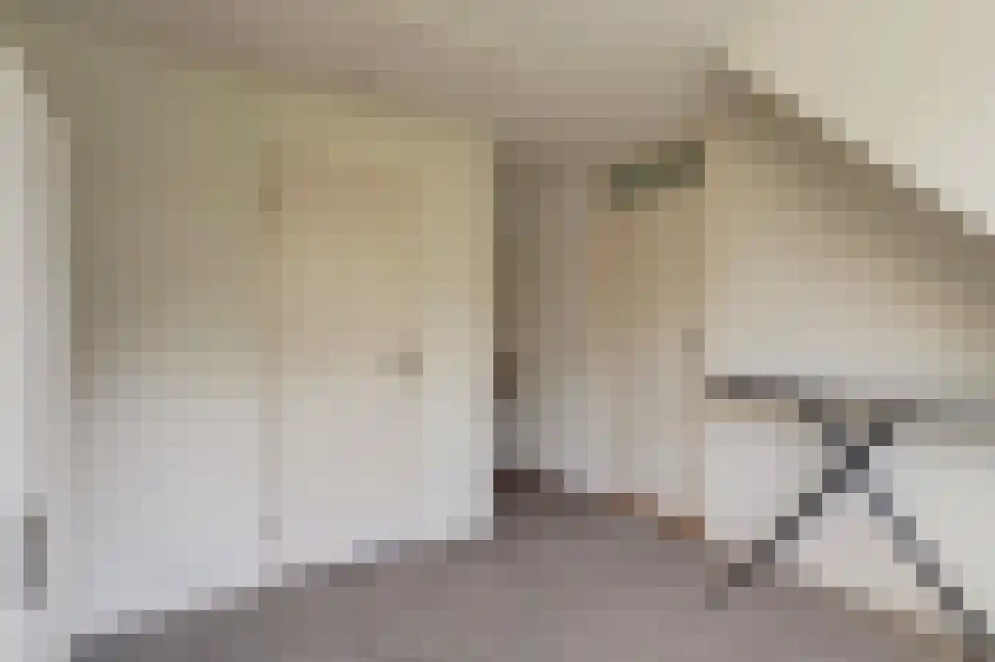 Lijsterbeslaan 17 Emmer-Compascuum thumbnail 18