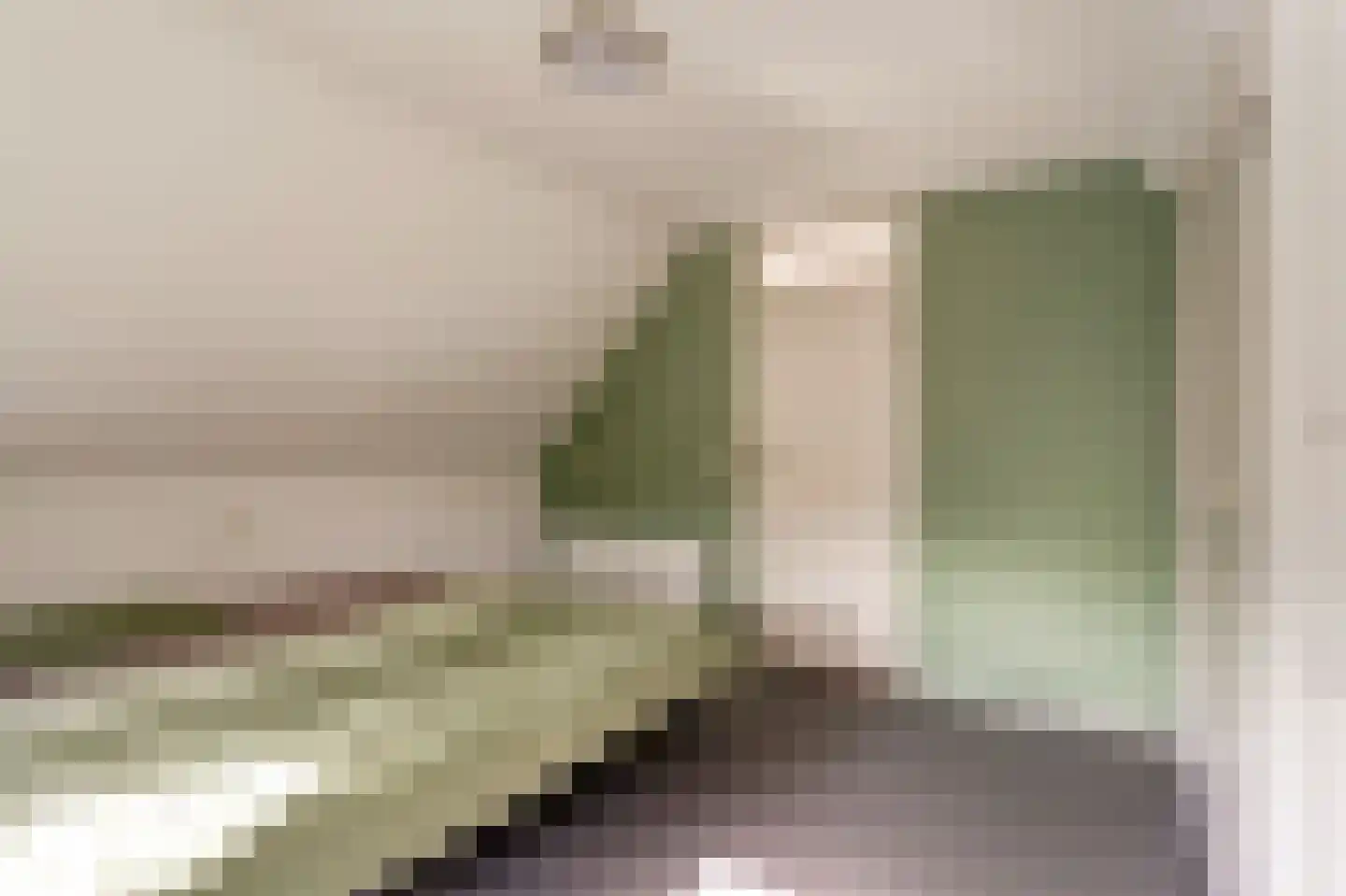 Lijsterbeslaan 17 Emmer-Compascuum thumbnail 21