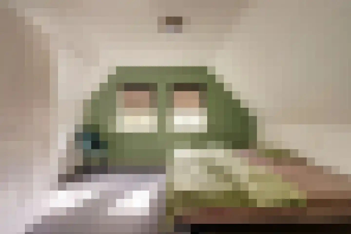 Lijsterbeslaan 17 Emmer-Compascuum thumbnail 22