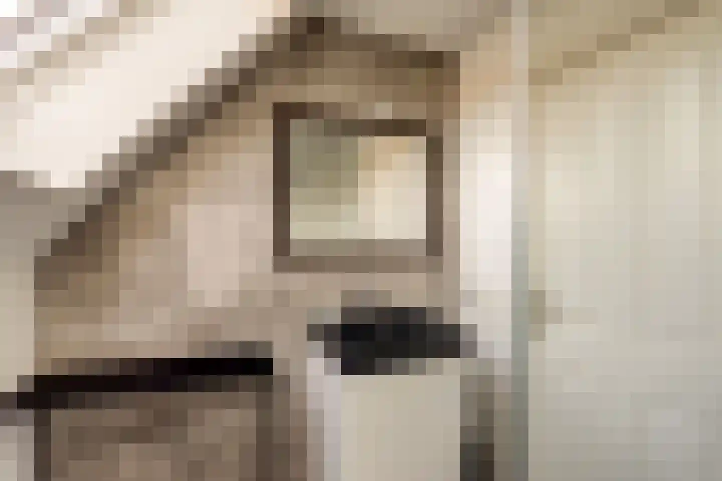 Lijsterbeslaan 17 Emmer-Compascuum thumbnail 26