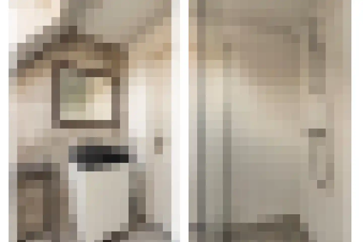Lijsterbeslaan 17 Emmer-Compascuum thumbnail 27
