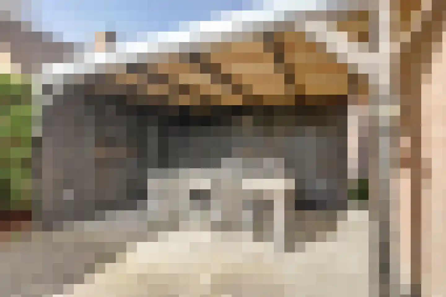 Lijsterbeslaan 17 Emmer-Compascuum thumbnail 28