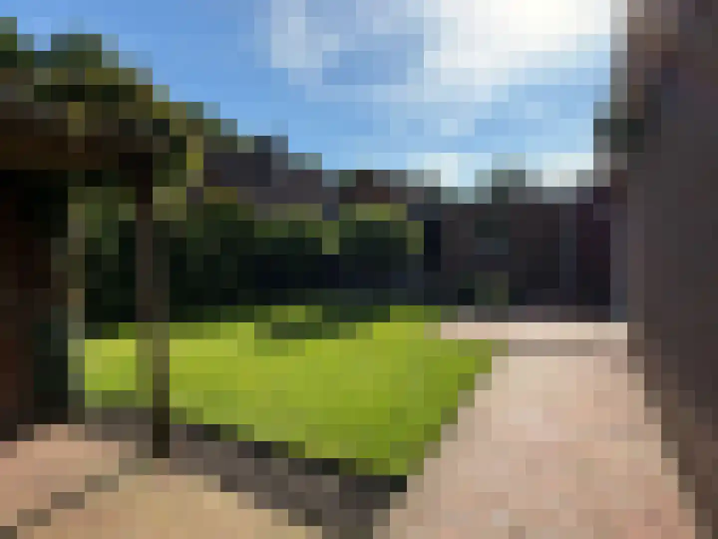 Lijsterbeslaan 17 Emmer-Compascuum thumbnail 29