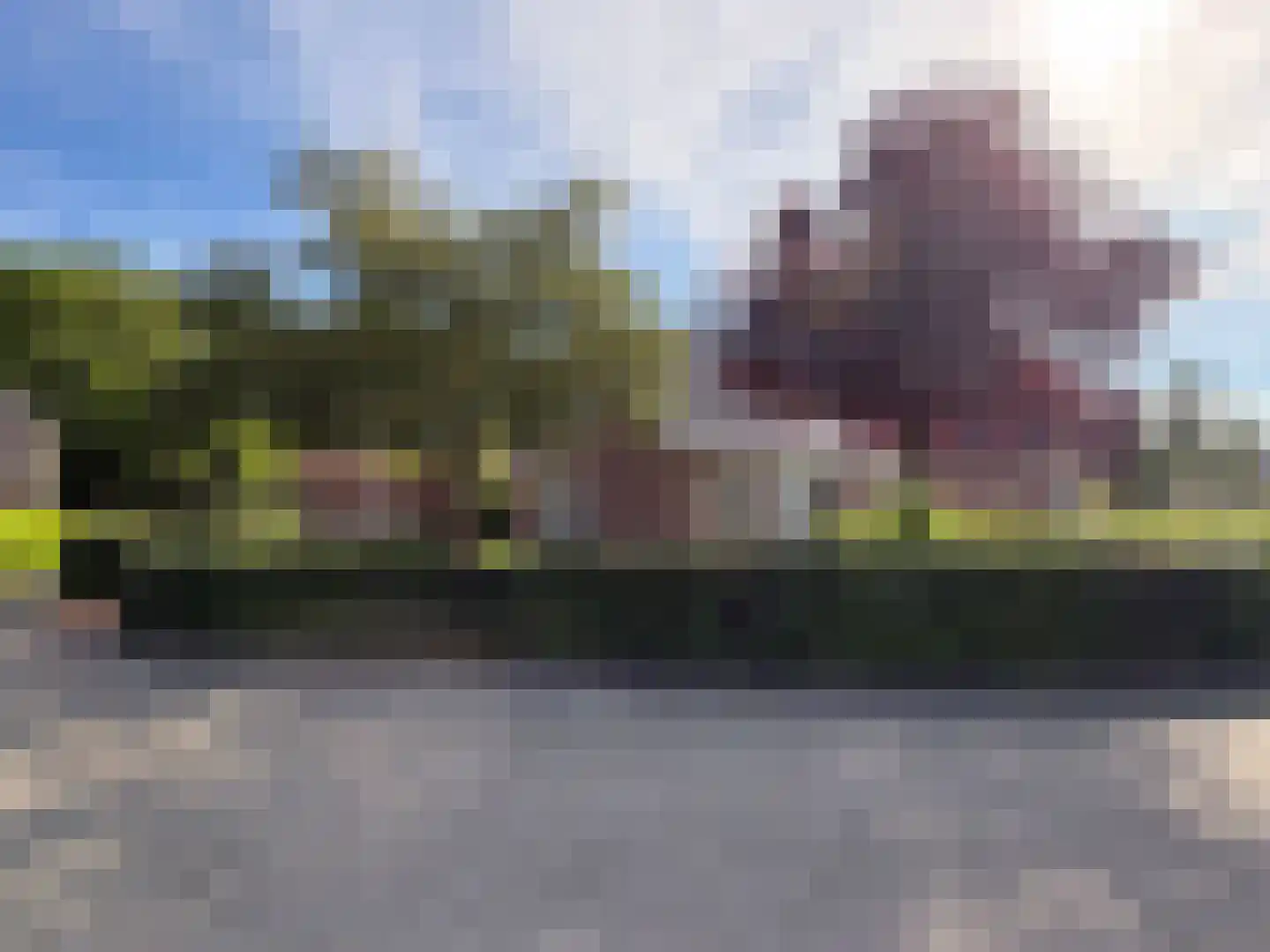 Lijsterbeslaan 17 Emmer-Compascuum foto 3