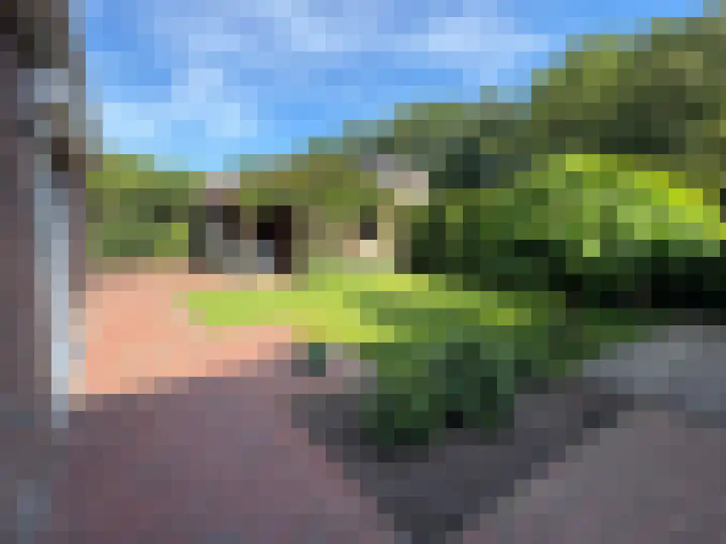 Lijsterbeslaan 17 Emmer-Compascuum thumbnail 30