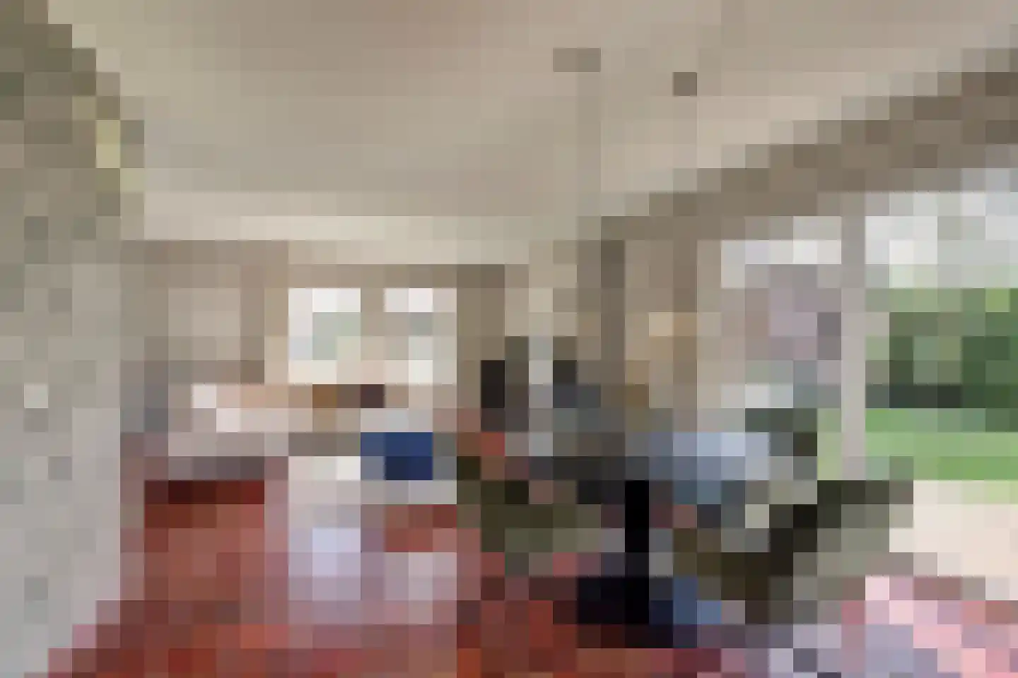 Lijsterbeslaan 17 Emmer-Compascuum thumbnail 6