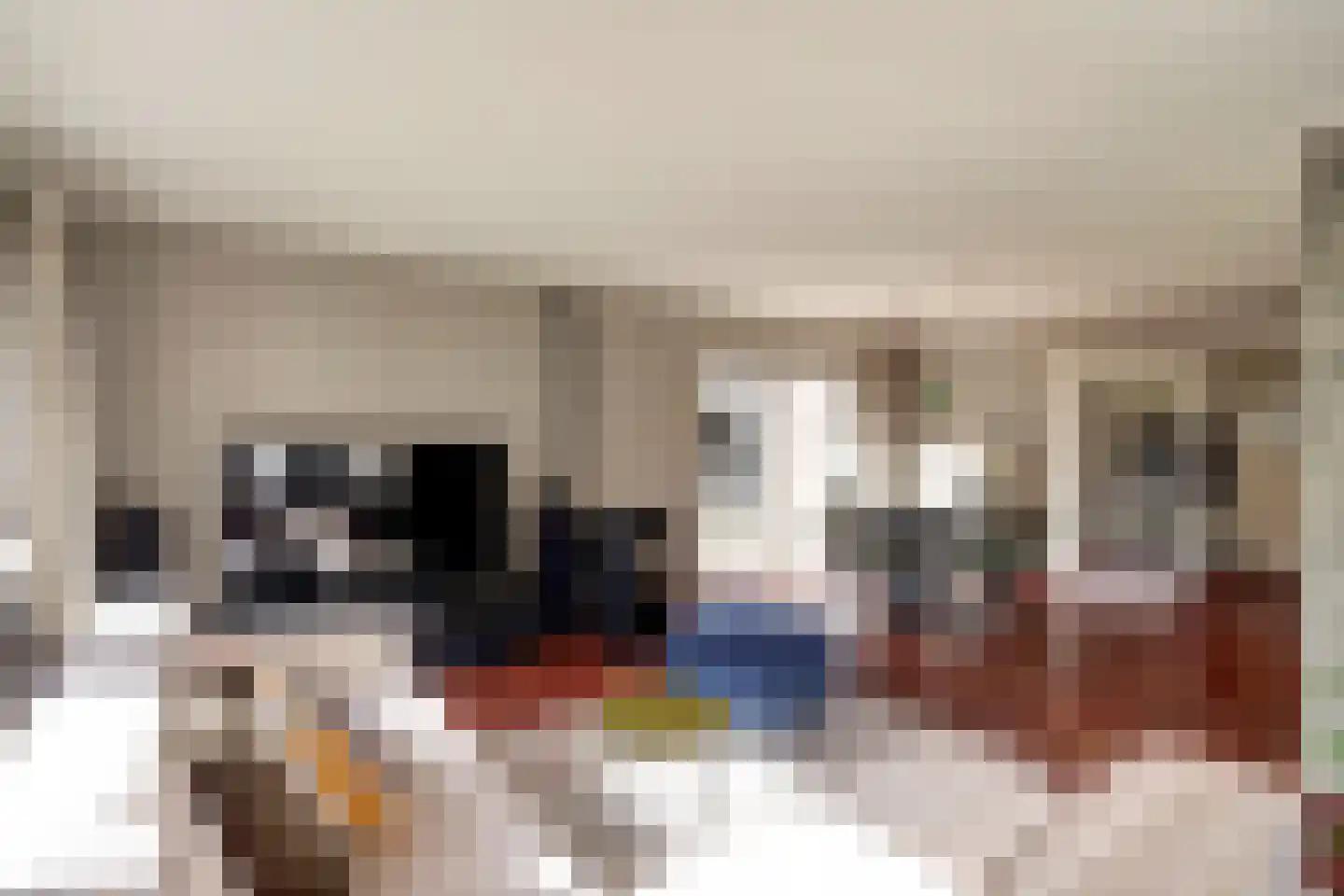 Lijsterbeslaan 17 Emmer-Compascuum thumbnail 7