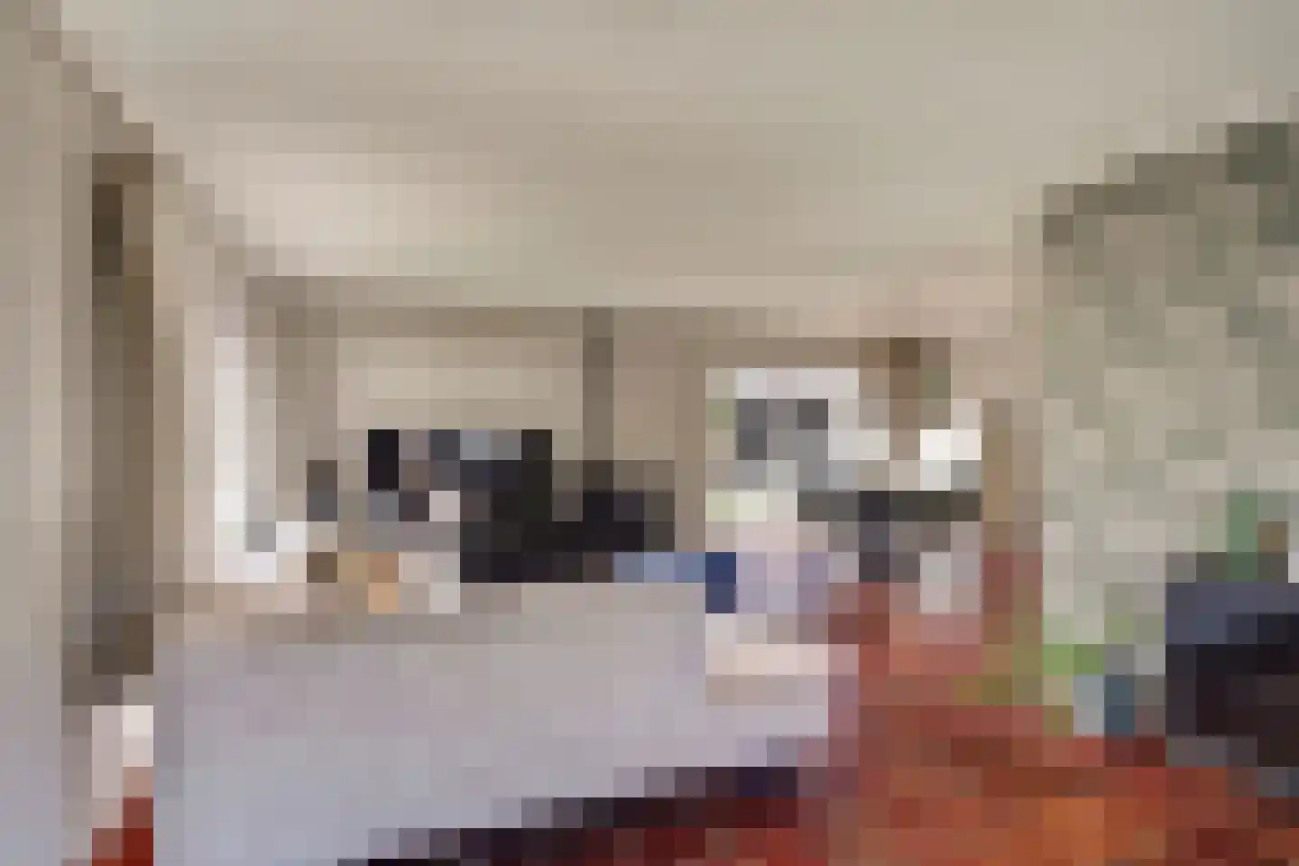 Lijsterbeslaan 17 Emmer-Compascuum thumbnail 9