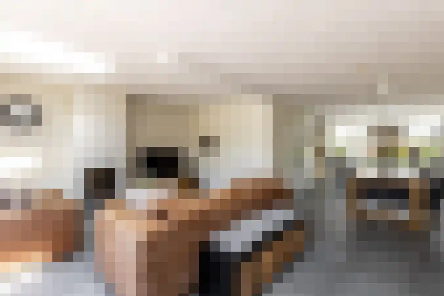 Lijsterbeslaan 18 Oostvoorne thumbnail 10