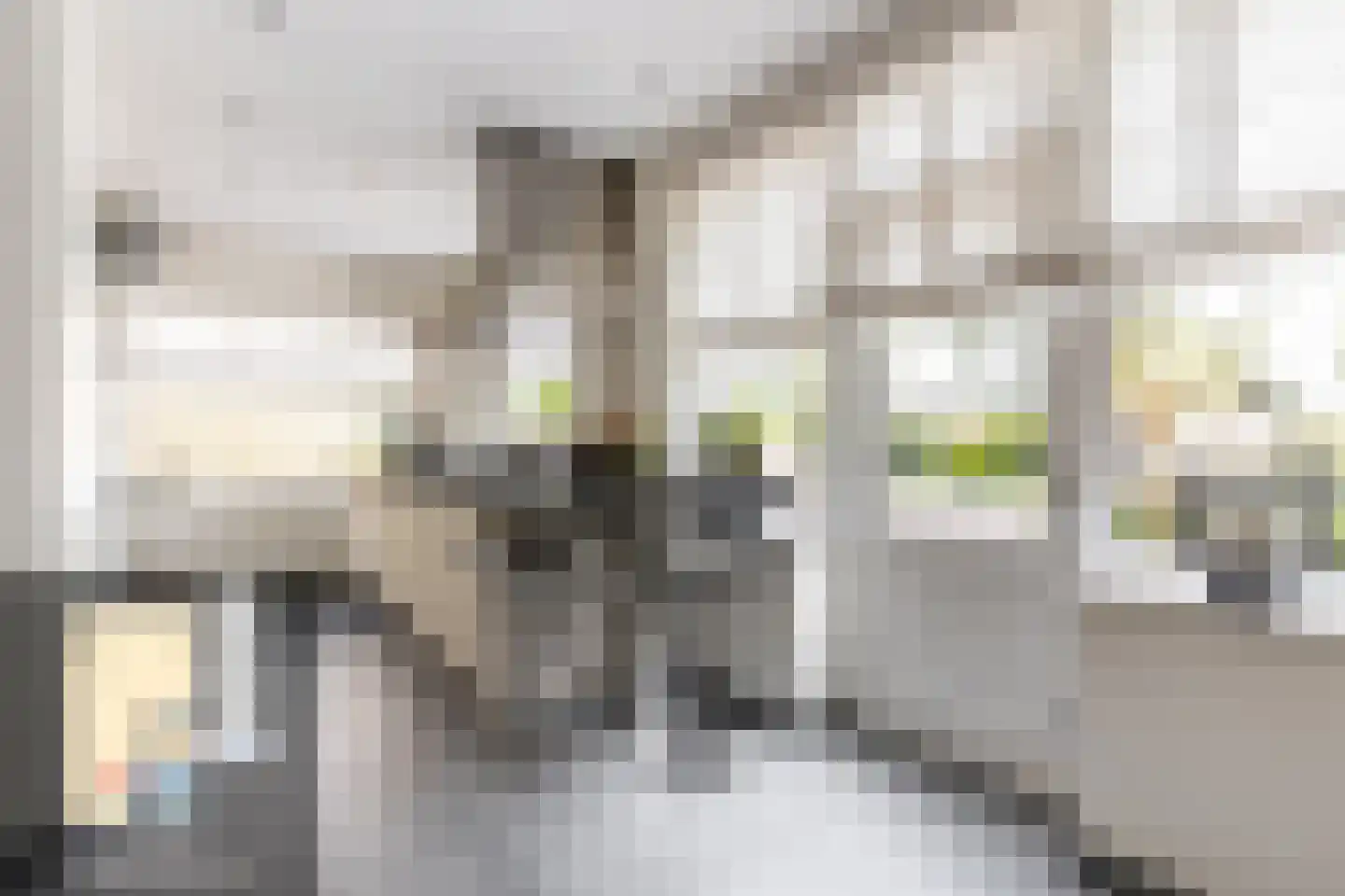 Lijsterbeslaan 18 Oostvoorne thumbnail 15