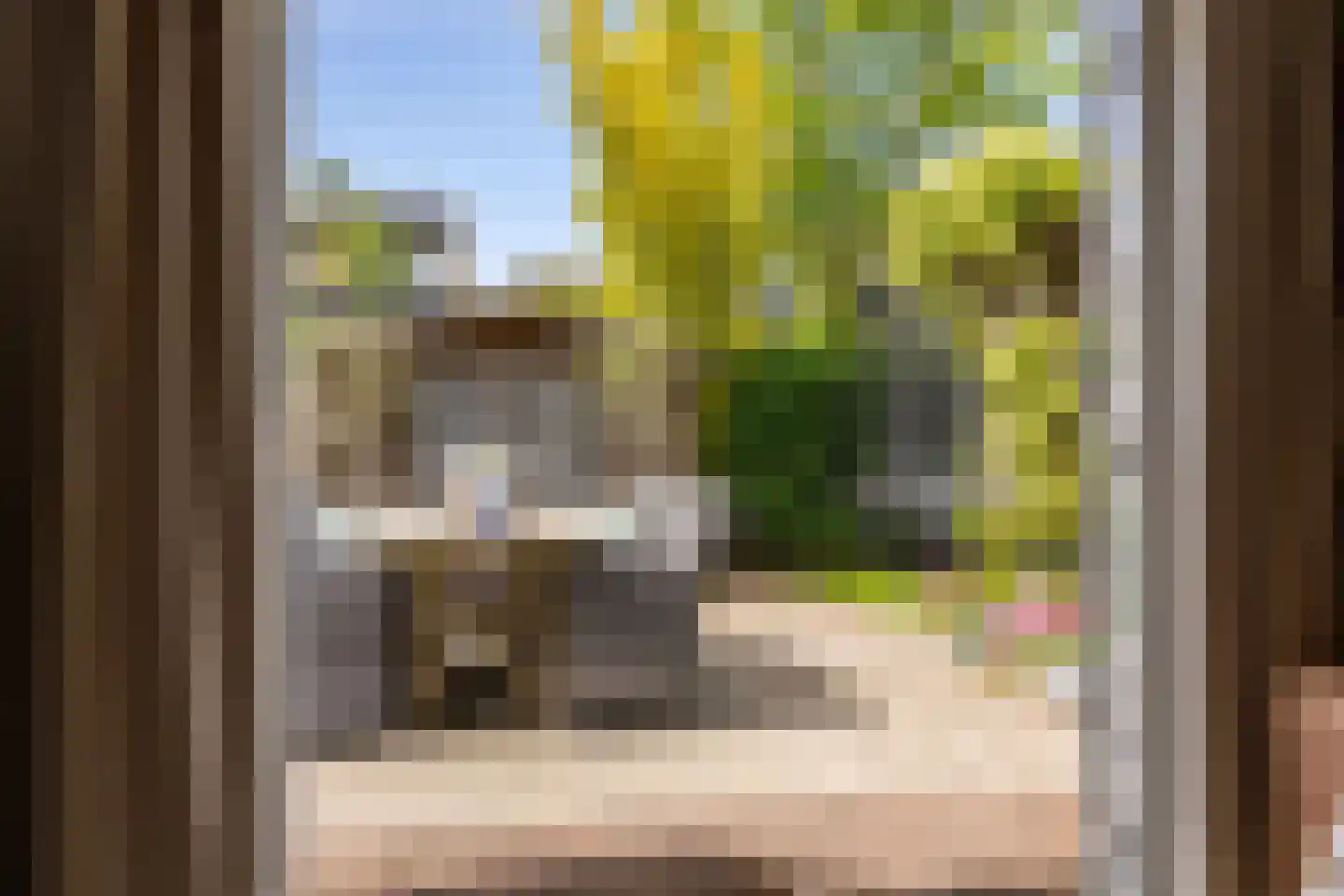 Lijsterbeslaan 18 Oostvoorne thumbnail 34