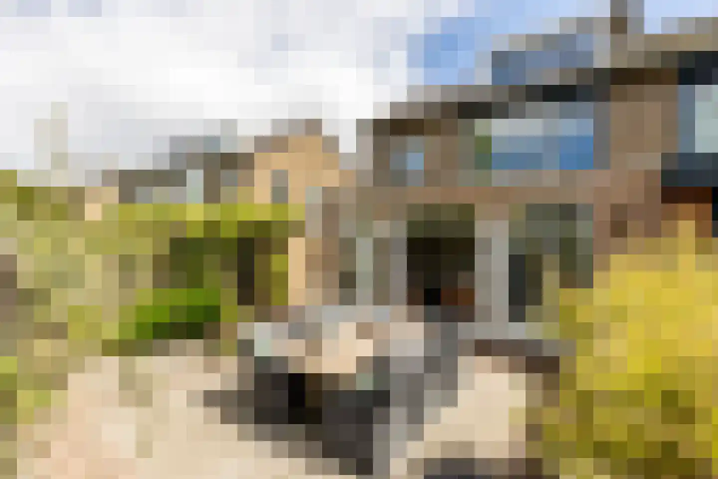 Lijsterbeslaan 18 Oostvoorne thumbnail 35