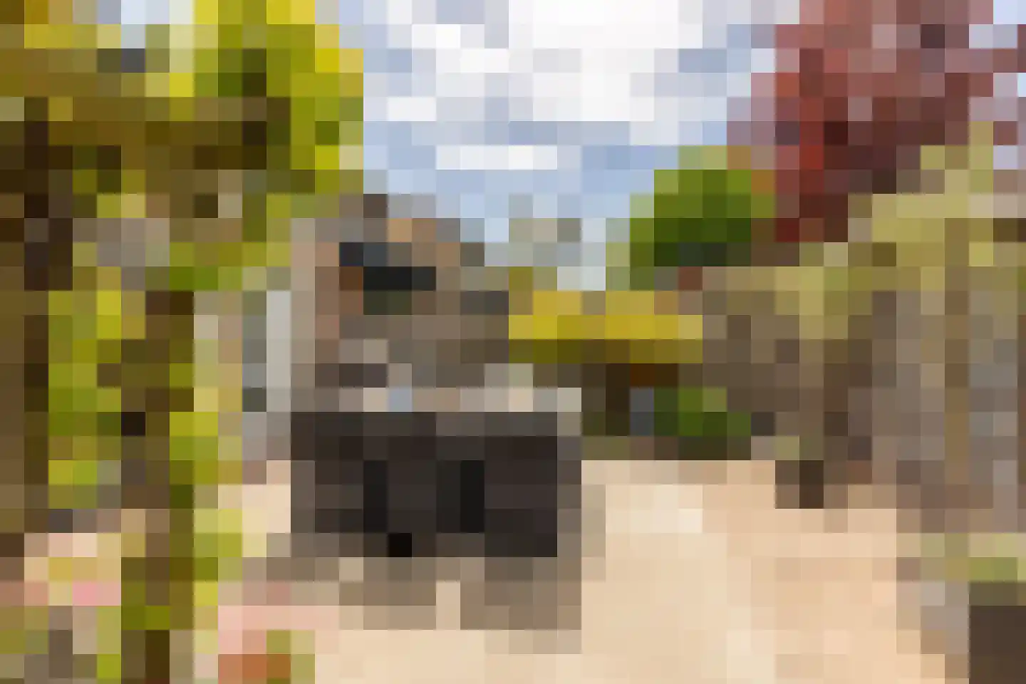 Lijsterbeslaan 18 Oostvoorne thumbnail 36