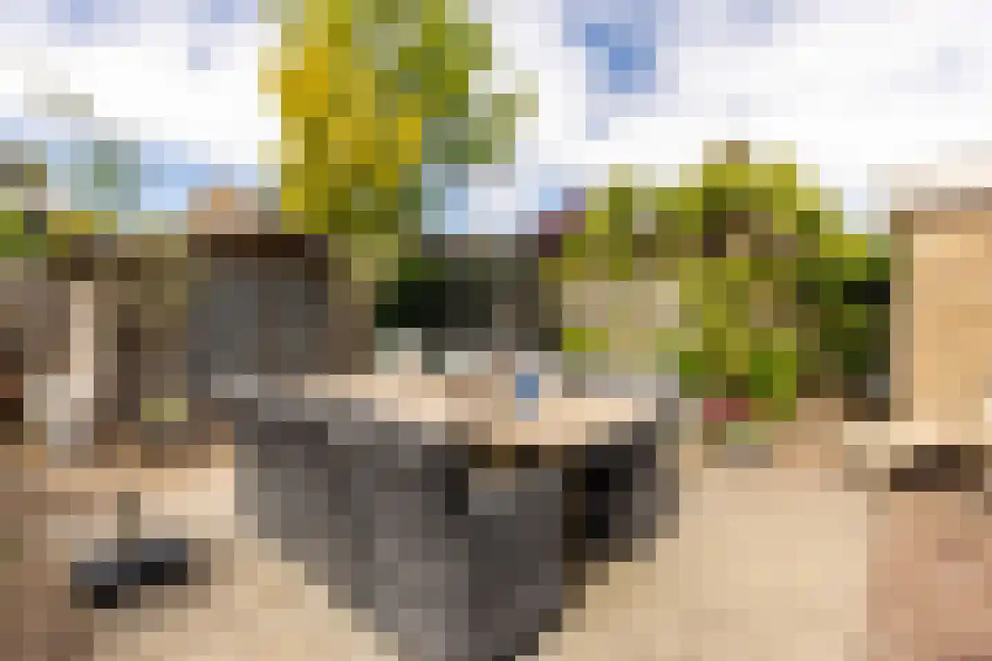 Lijsterbeslaan 18 Oostvoorne thumbnail 38