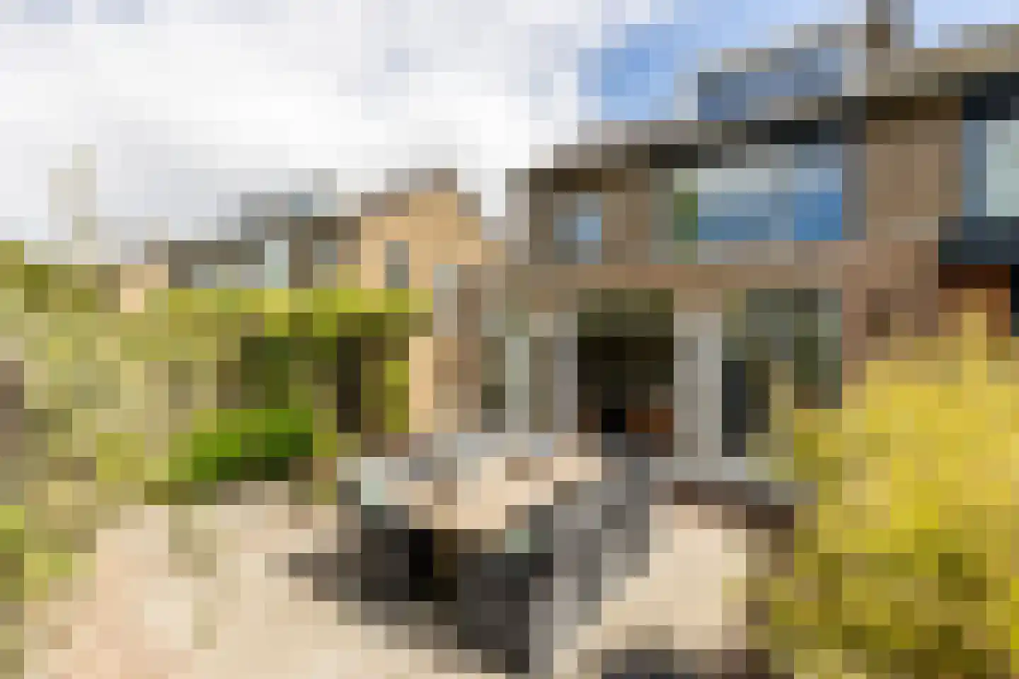 Lijsterbeslaan 18 Oostvoorne thumbnail 4