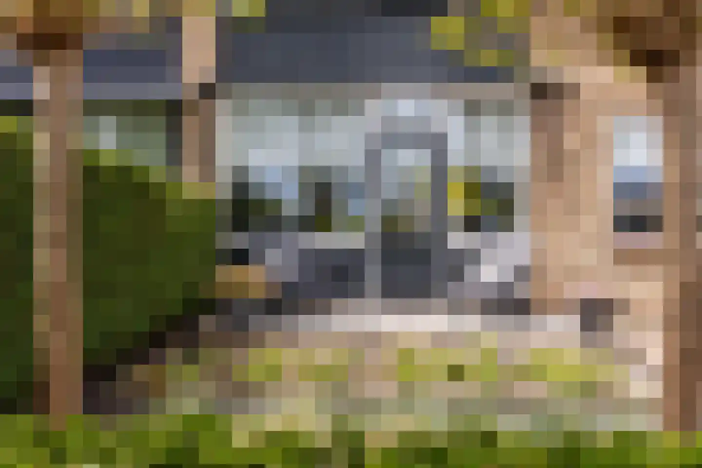 Lijsterbeslaan 18 Oostvoorne thumbnail 40