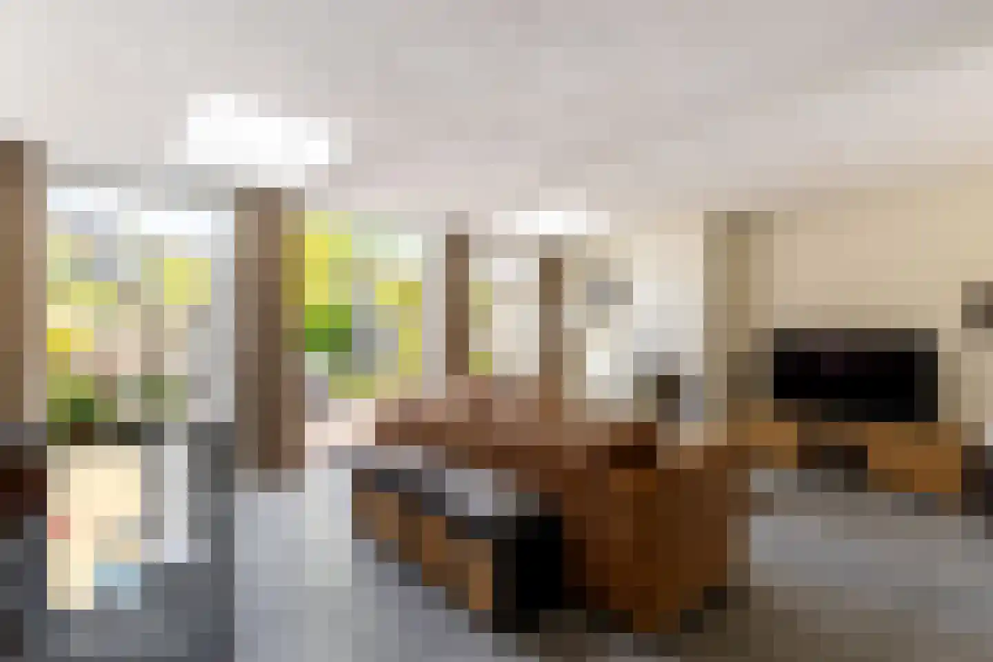 Lijsterbeslaan 18 Oostvoorne thumbnail 9