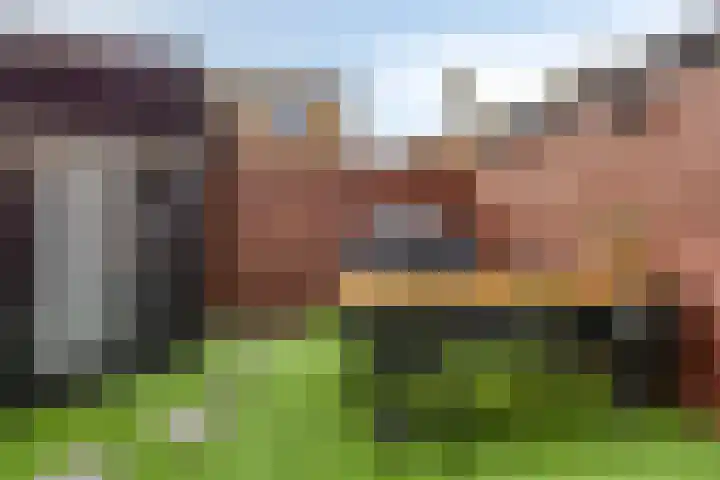 Lijsterbeslaan 18 Schiedam thumbnail 10