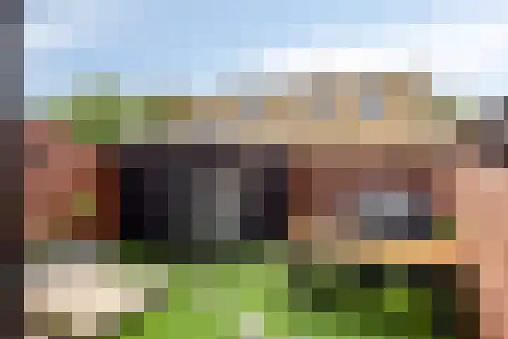 Lijsterbeslaan 18 Schiedam thumbnail 11