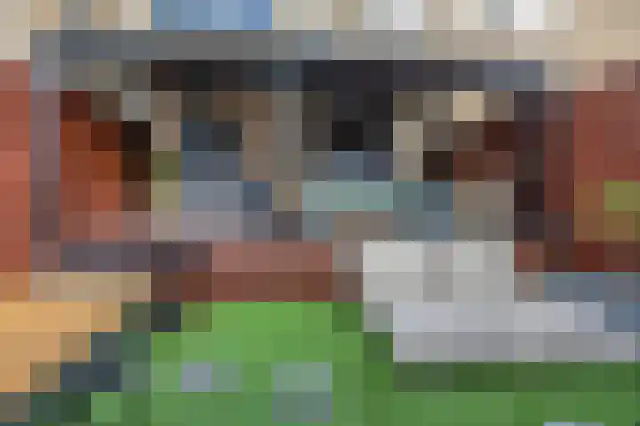 Lijsterbeslaan 18 Schiedam thumbnail 12
