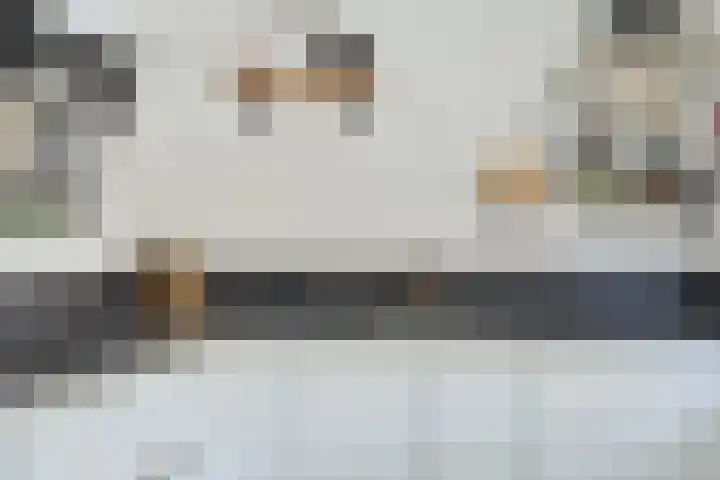 Lijsterbeslaan 18 Schiedam thumbnail 15