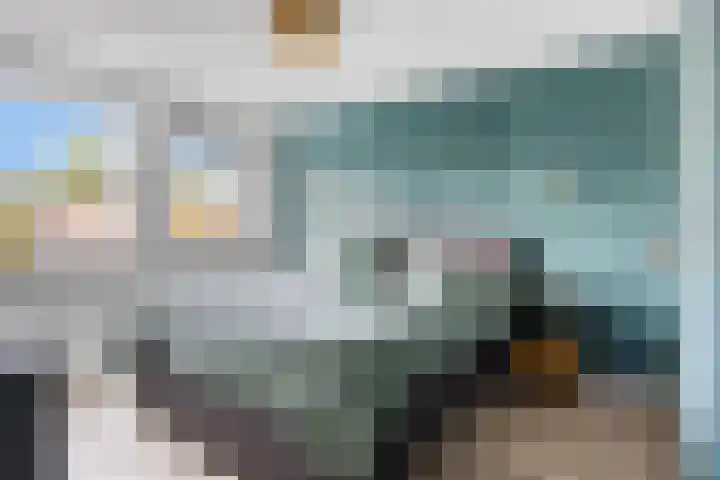 Lijsterbeslaan 18 Schiedam thumbnail 16