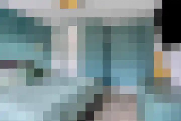 Lijsterbeslaan 18 Schiedam thumbnail 17