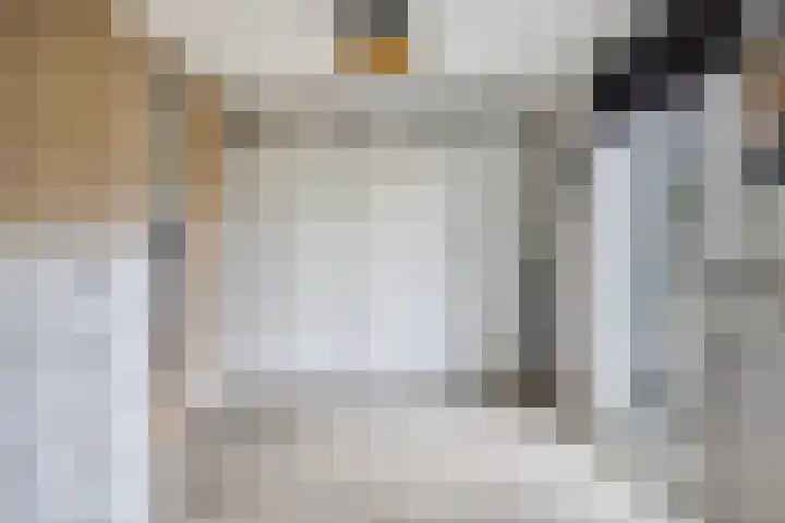 Lijsterbeslaan 18 Schiedam thumbnail 18
