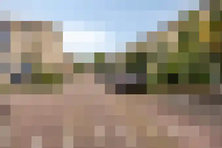 Lijsterbeslaan 18 Schiedam thumbnail 21