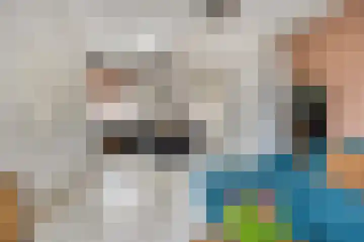 Lijsterbeslaan 18 Schiedam thumbnail 7