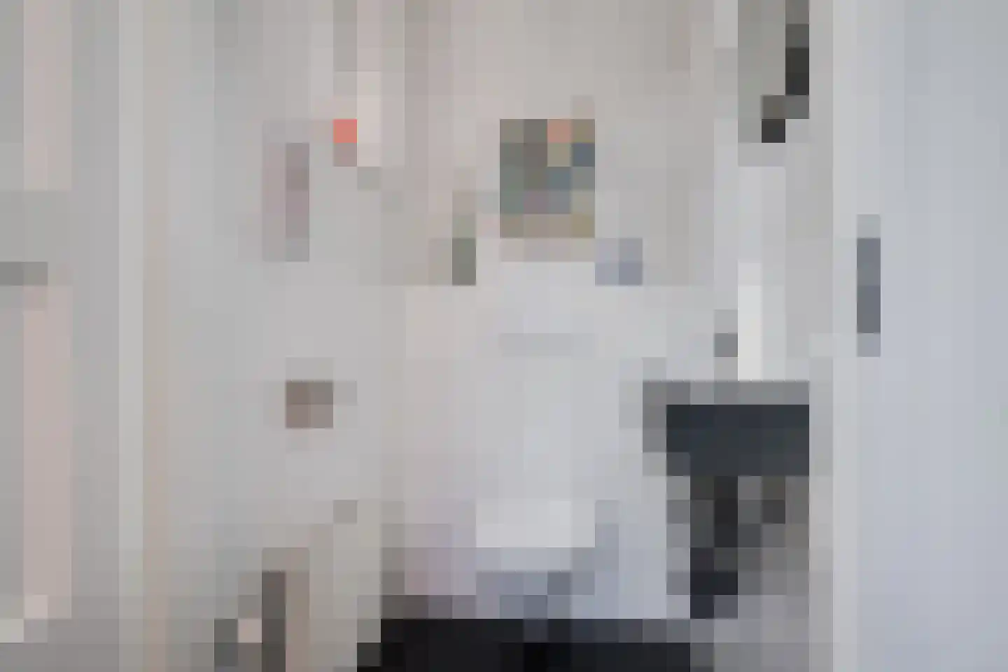 Lijsterbeslaan 19 Aalten thumbnail 13