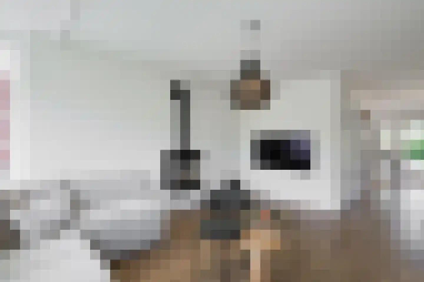 Lijsterbeslaan 19 Aalten thumbnail 17