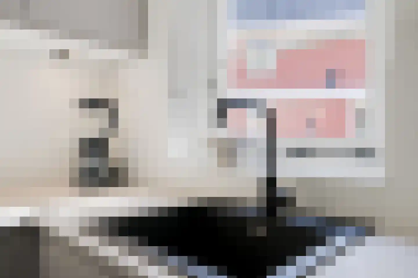 Lijsterbeslaan 19 Aalten thumbnail 27