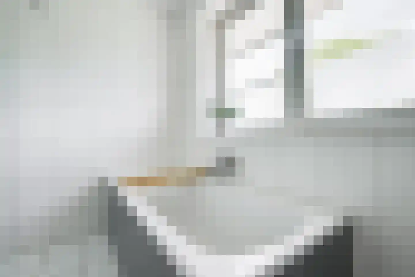 Lijsterbeslaan 19 Aalten thumbnail 37
