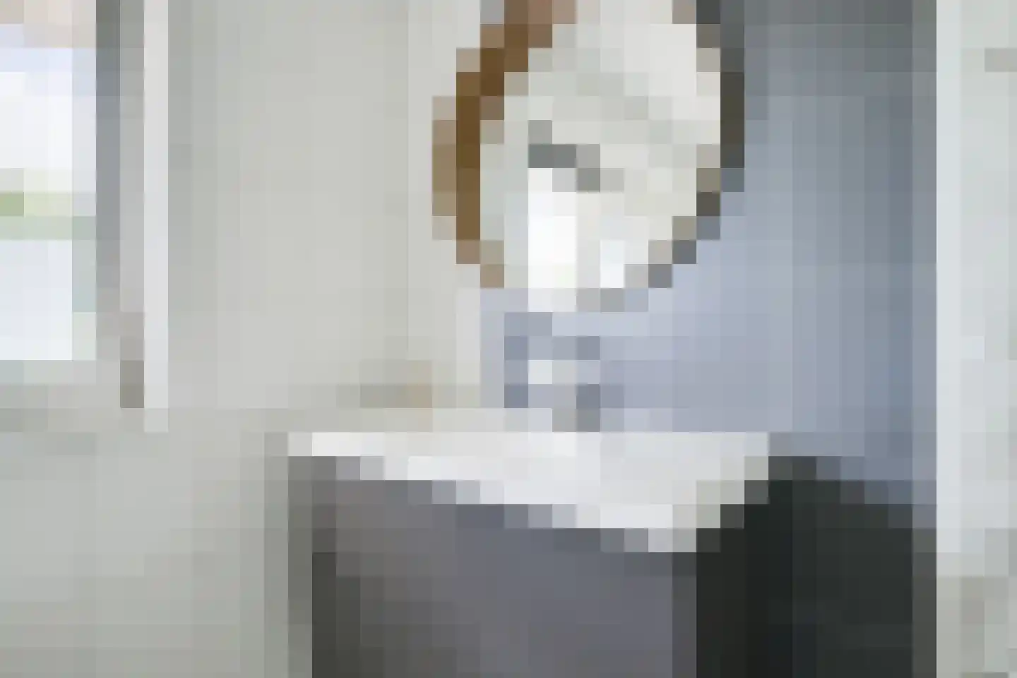Lijsterbeslaan 19 Aalten thumbnail 38