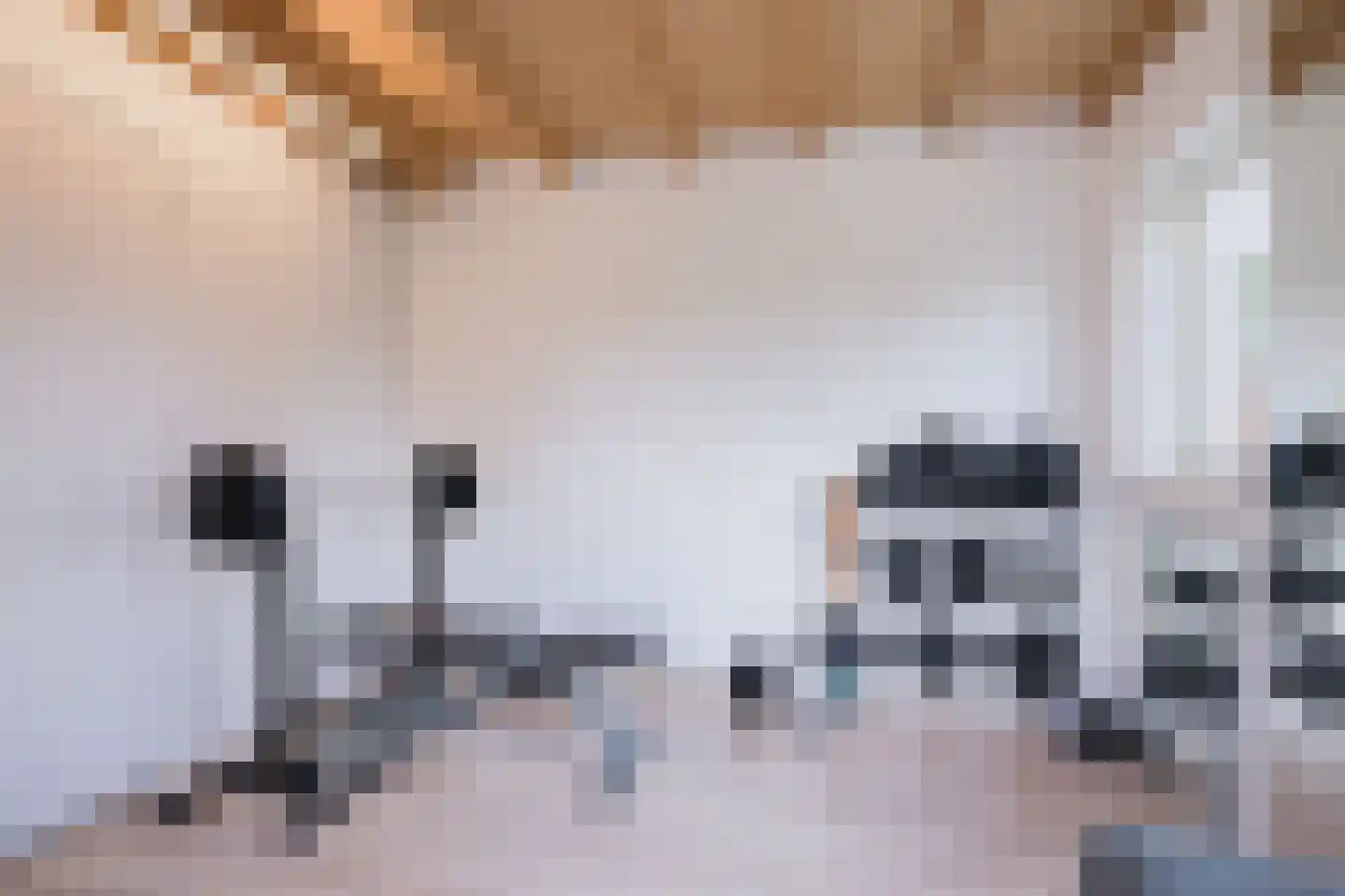 Lijsterbeslaan 19 Aalten thumbnail 46
