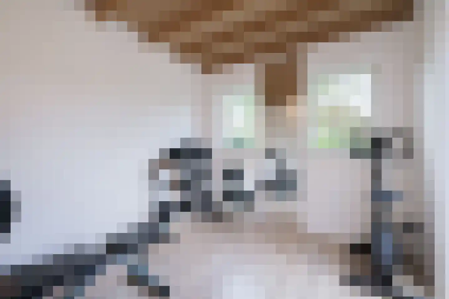 Lijsterbeslaan 19 Aalten thumbnail 47