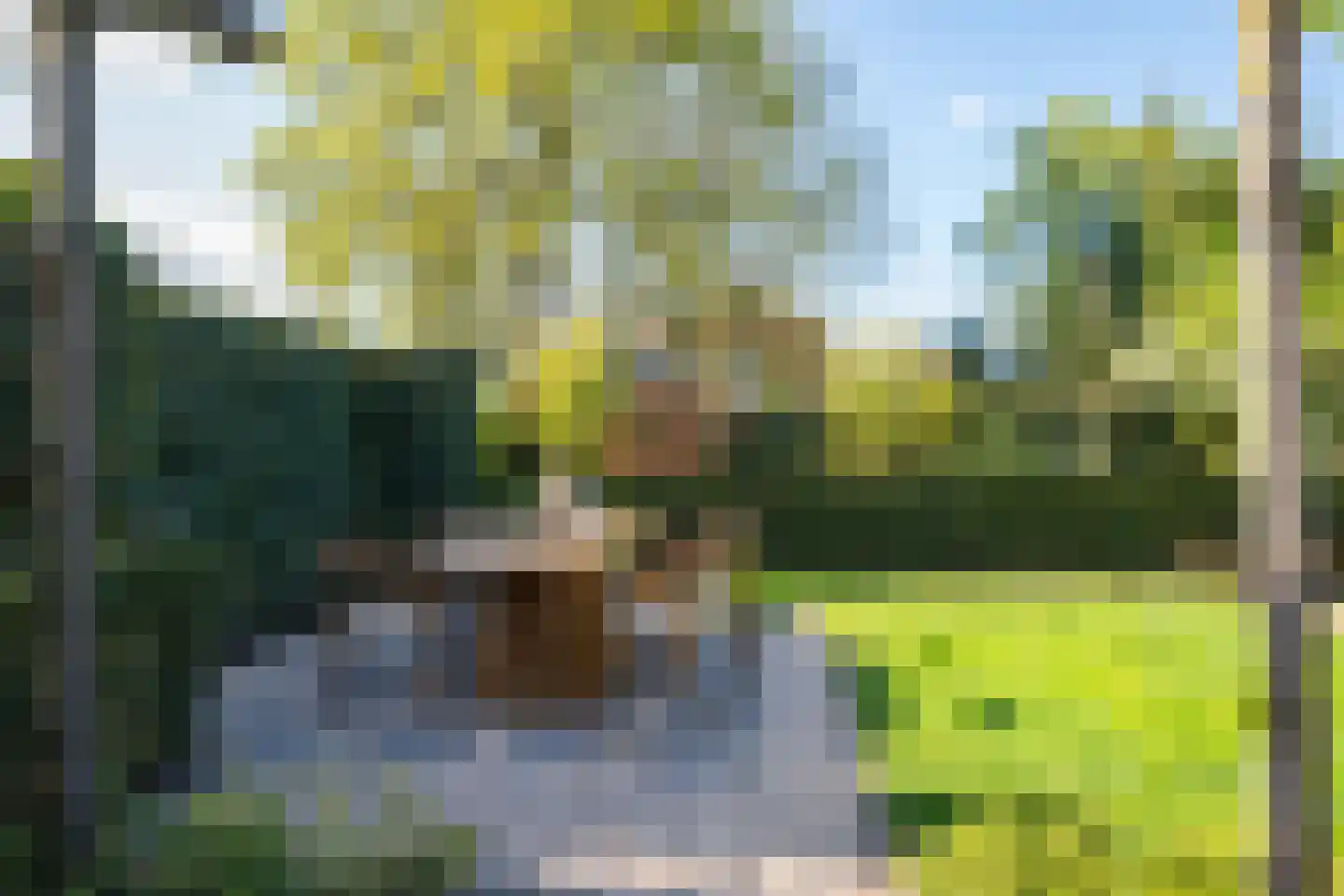Lijsterbeslaan 19 Aalten thumbnail 51