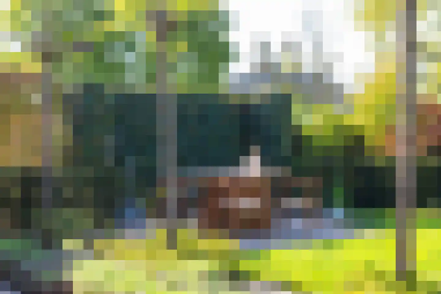 Lijsterbeslaan 19 Aalten thumbnail 52