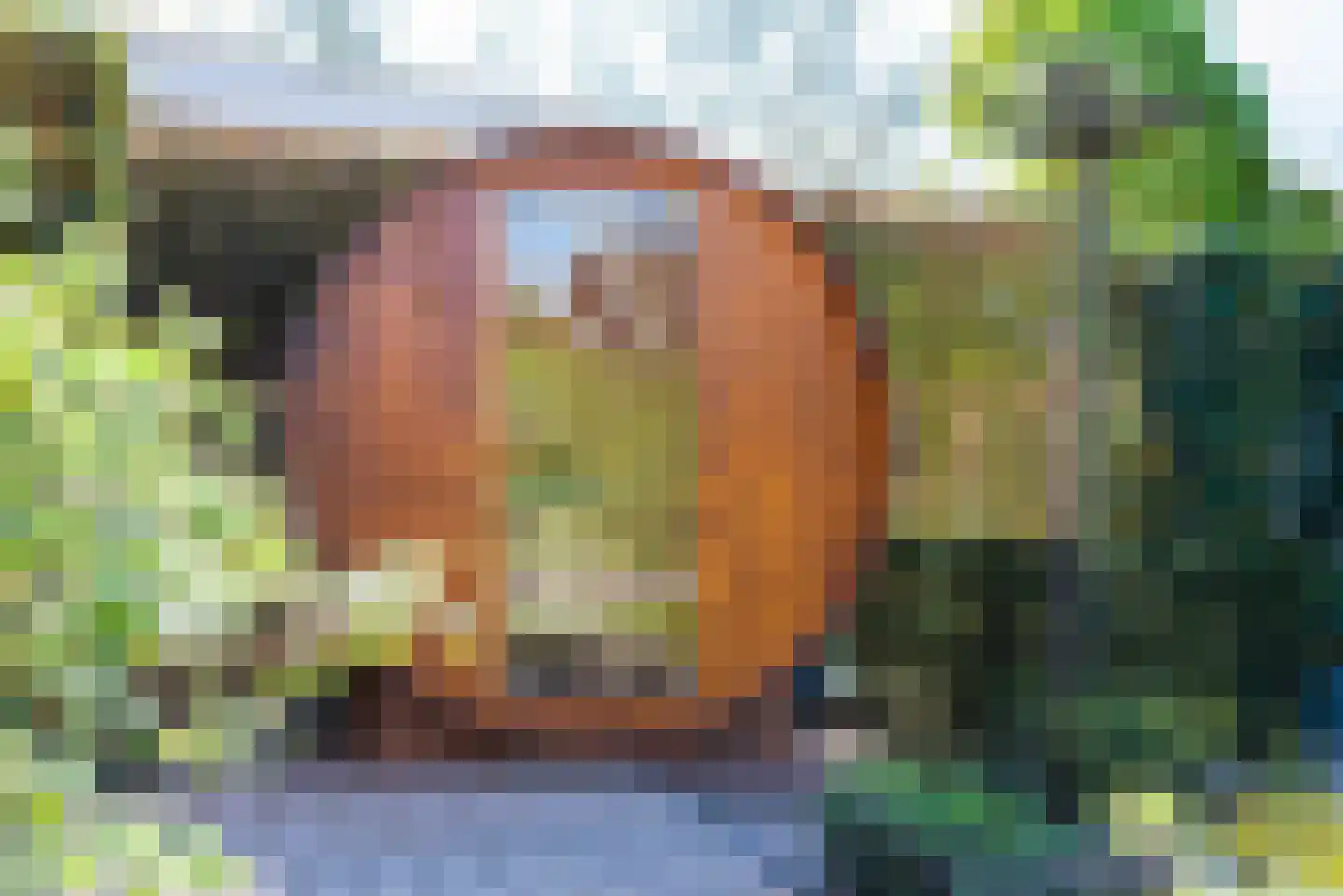 Lijsterbeslaan 19 Aalten thumbnail 53