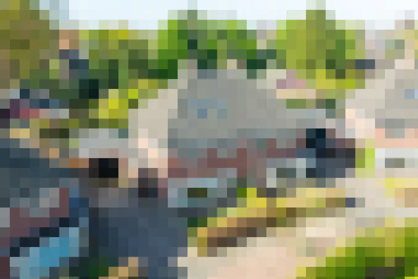Lijsterbeslaan 19 Aalten thumbnail 7
