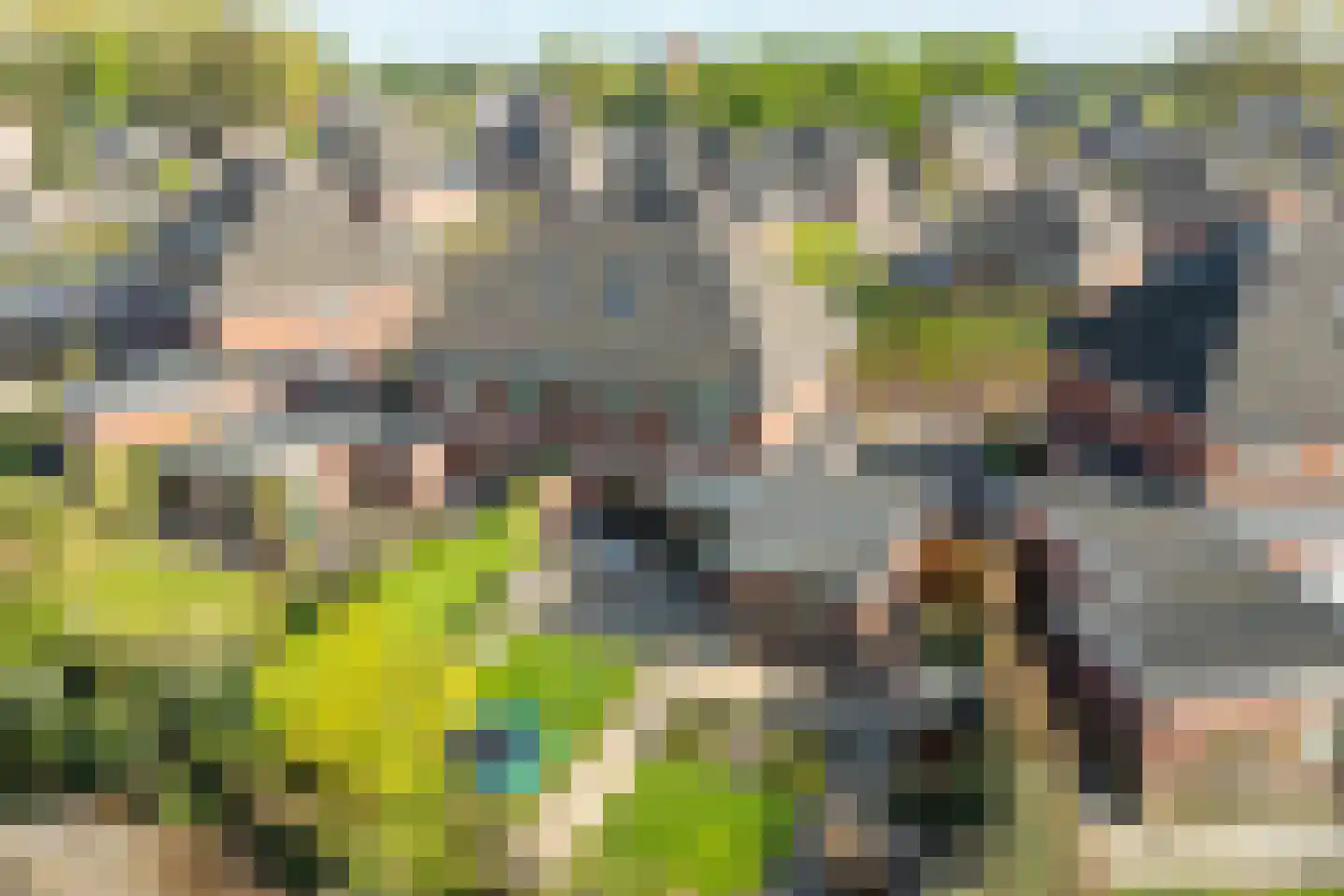 Lijsterbeslaan 19 Aalten thumbnail 8