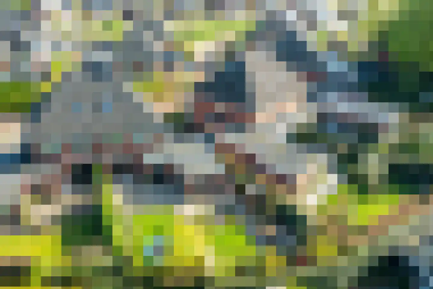 Lijsterbeslaan 19 Aalten thumbnail 9