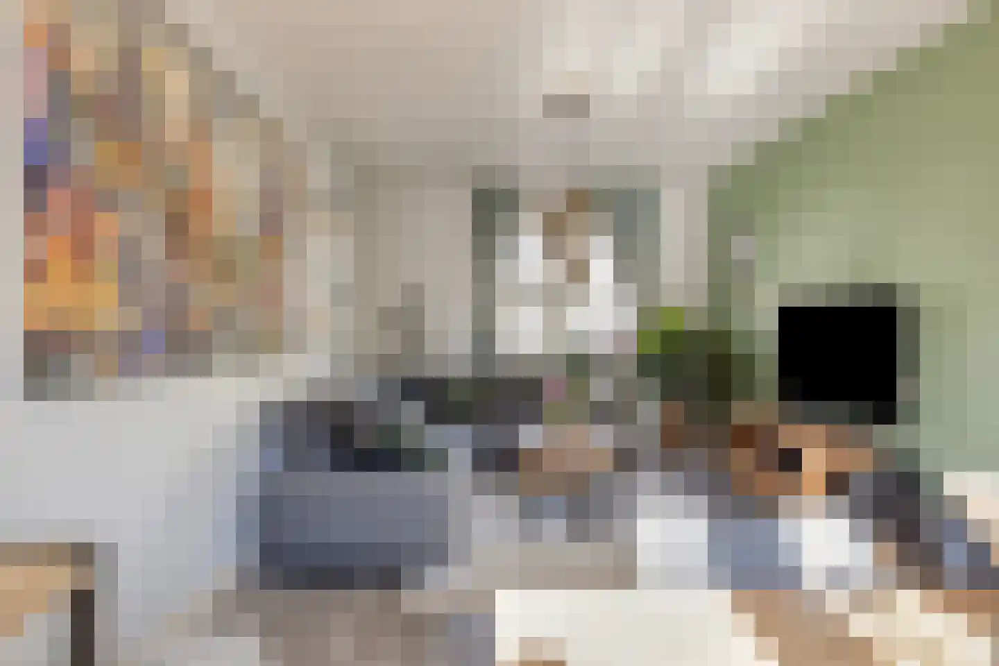 Lijsterbeslaan 19 Delft thumbnail 10