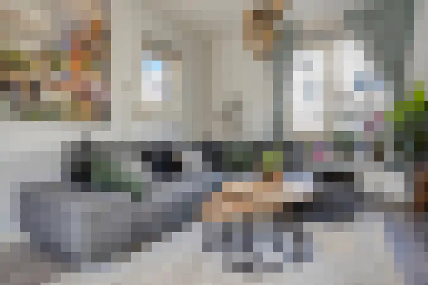 Lijsterbeslaan 19 Delft thumbnail 11