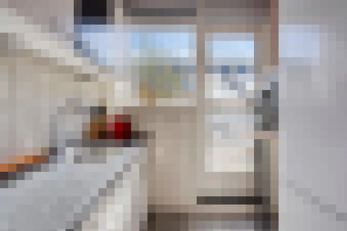 Lijsterbeslaan 19 Delft thumbnail 14