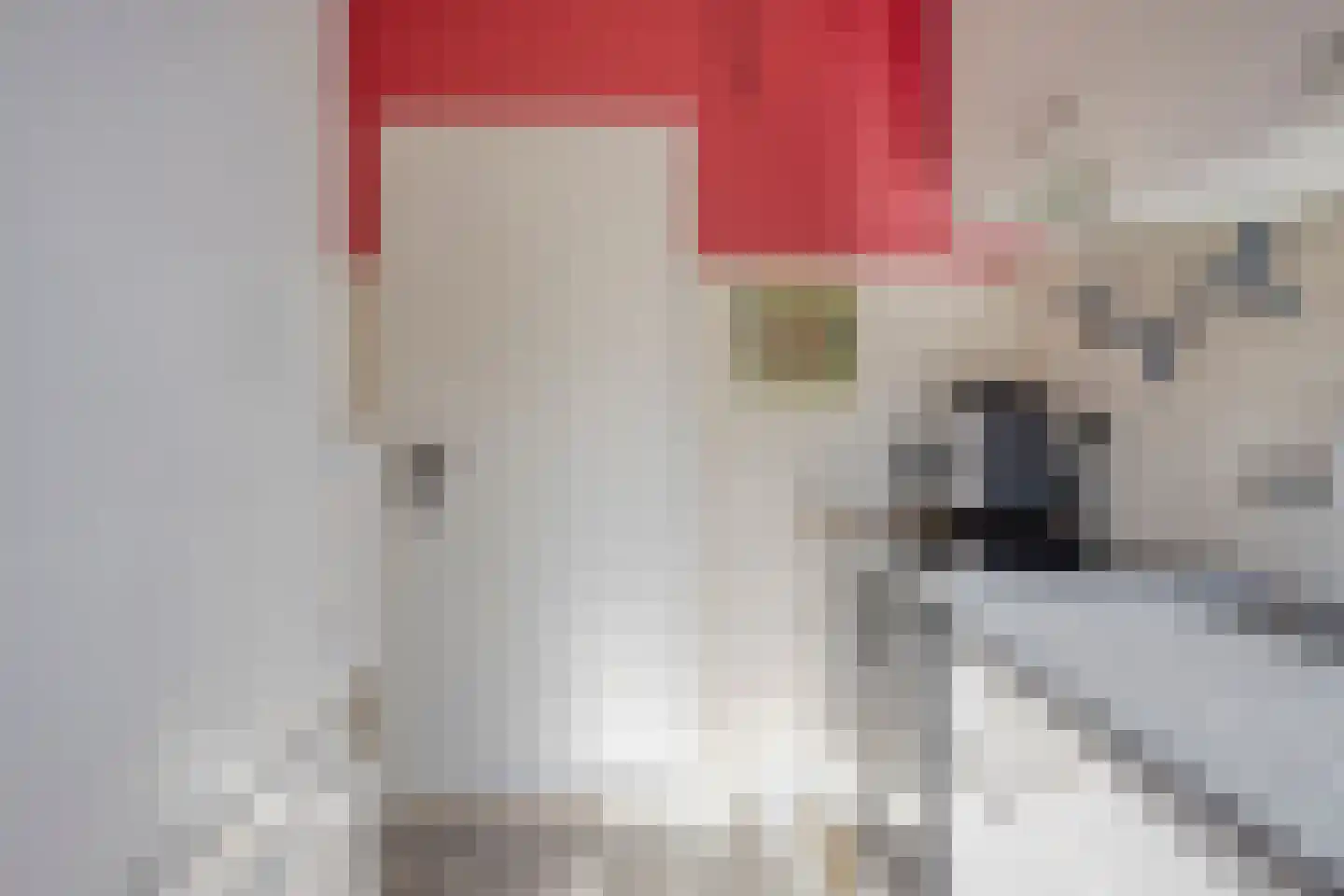 Lijsterbeslaan 19 Delft thumbnail 15